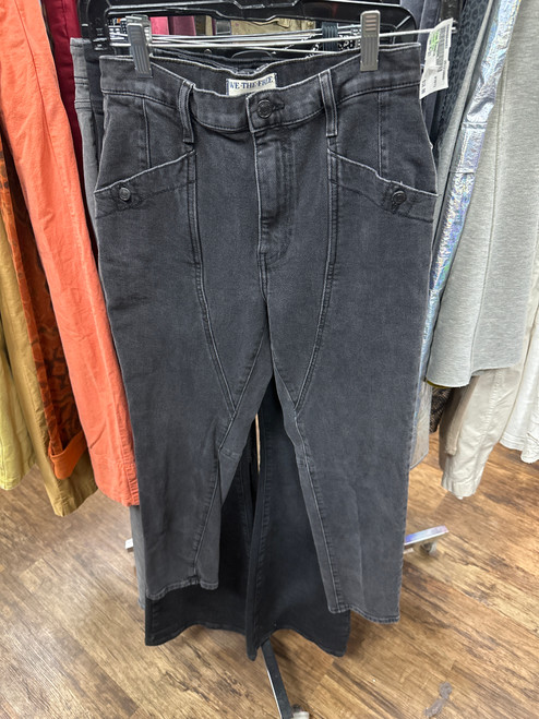 Vist Large View of Product Image Which is Used Free People Casual Pant 4-27