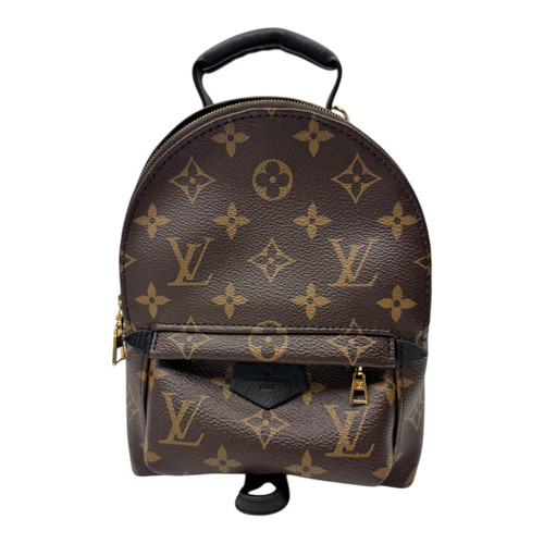 Vist Large View of Product Image Which is Used Louis Vuitton Palm Springs Mini Backpack