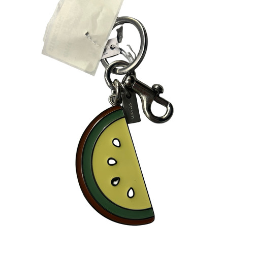 Vist Large View of Product Image Which is Used Coach keychain