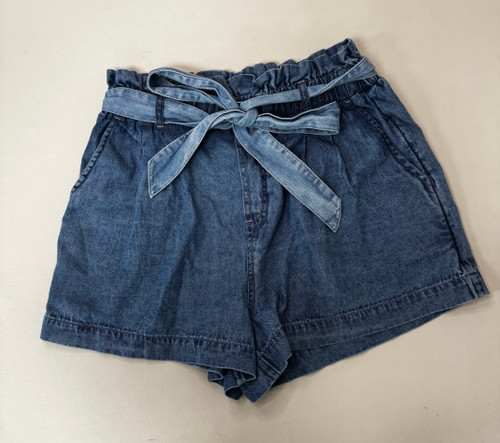 Vist Large View of Product Image Which is Used American Eagle Shorts 4-27