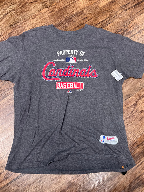 Vist Large View of Product Image Which is Used Unbranded Mens T-Shirt XL