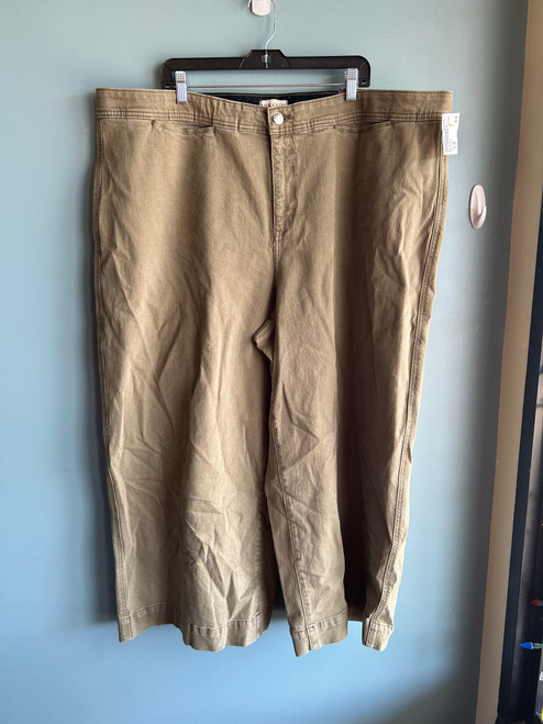 Vist Large View of Product Image Which is Used Ava & Viv Casual Pant 26