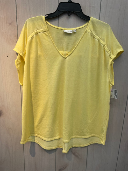 Vist Large View of Product Image Which is Used Unbranded Short Sleeve Top 2X-20