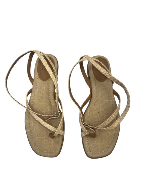 Vist Large View of Product Image Which is Used A New Day Sandals 8.5