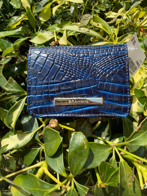 Vist Large View of Product Image Which is Used Brahmin Wallet