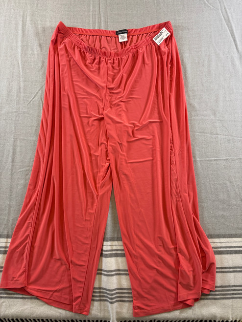 Vist Large View of Product Image Which is Used Unbranded Casual Pant 2X 20/35