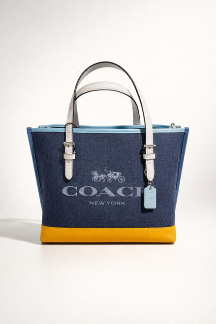 Vist Large View of Product Image Which is Used Coach Handbag