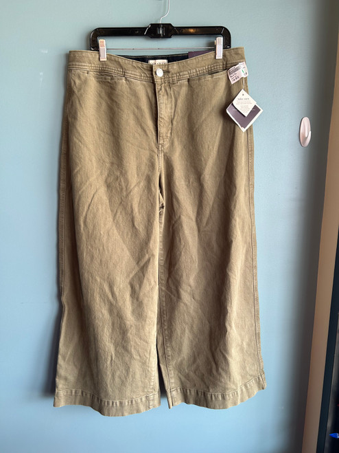 Vist Large View of Product Image Which is Used Ava & Viv Casual Pant 16-33