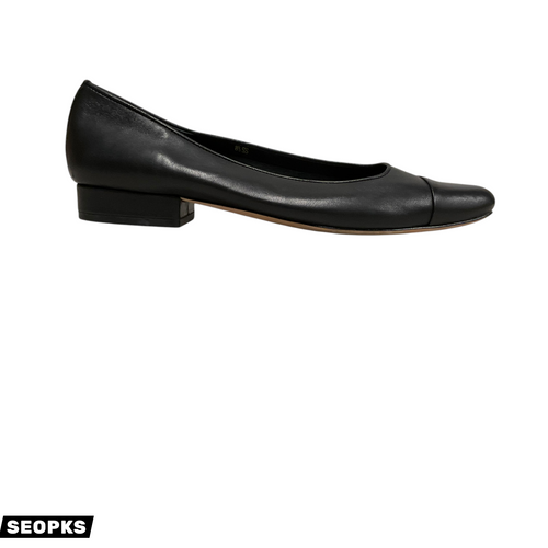 Vist Large View of Product Image Which is Used Vaneli Flats 8.5