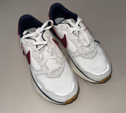 Vist Large View of Product Image Which is Used Nike Performance Shoes 8.5