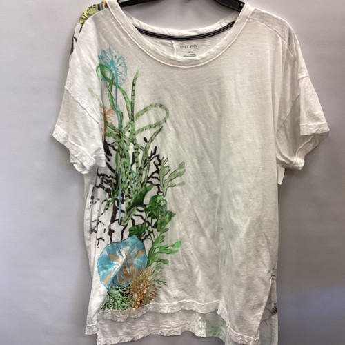 Vist Large View of Product Image Which is Used Pilcro T-Shirt M-8/10
