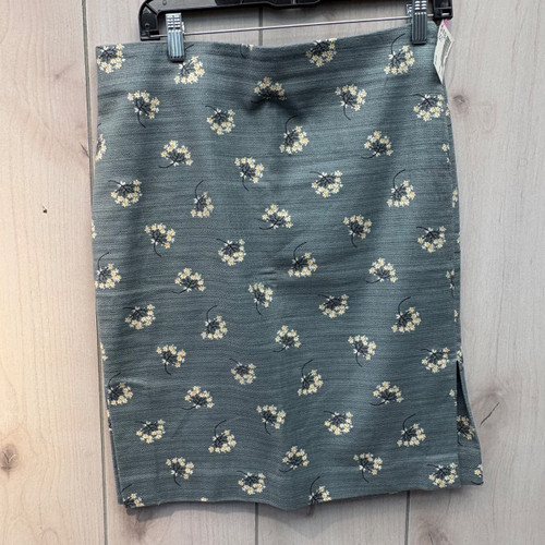 Vist Large View of Product Image Which is Used Loft Short Skirt 8-29