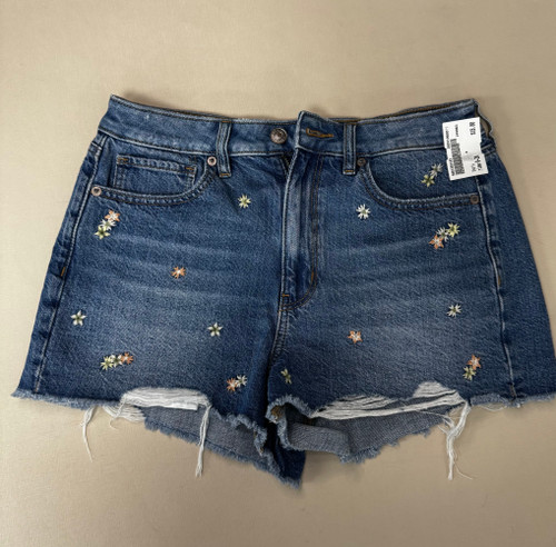 Vist Large View of Product Image Which is Used American Eagle Shorts 6-28