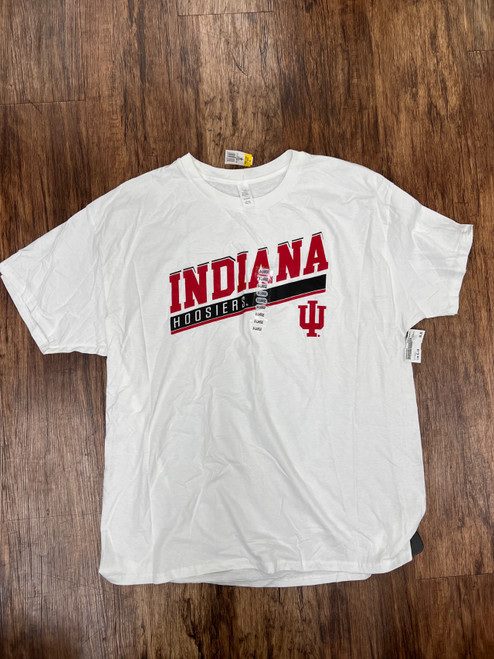 Vist Large View of Product Image Which is Used Hanes T-Shirt XL-16
