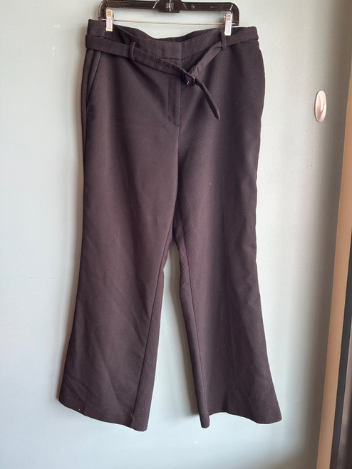 Vist Large View of Product Image Which is Used Ann Taylor Dress Pant 14-32