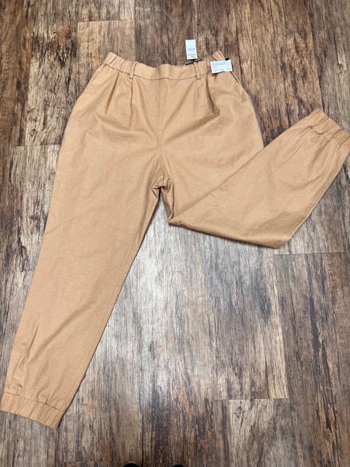 Vist Large View of Product Image Which is Used Express Dress Pant M 8-10/28-30