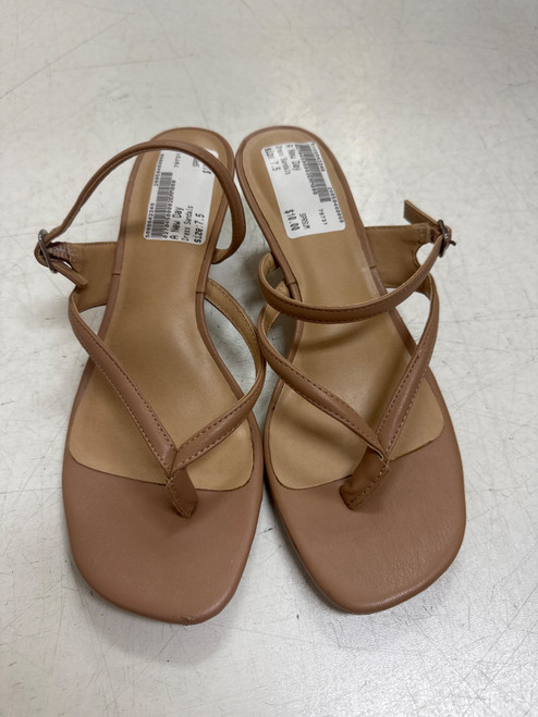 Vist Large View of Product Image Which is Used A New Day Dress Sandals 7.5