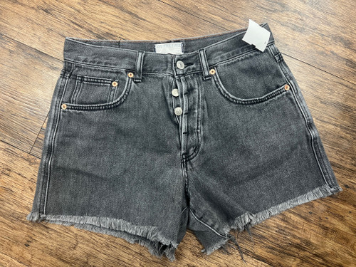 Vist Large View of Product Image Which is Used Free People Shorts 6-28