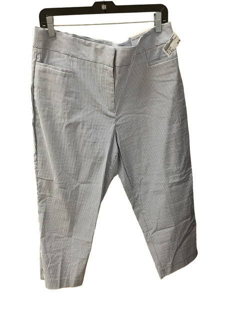 Vist Large View of Product Image Which is Used Ann Taylor Dress Pant 14-32