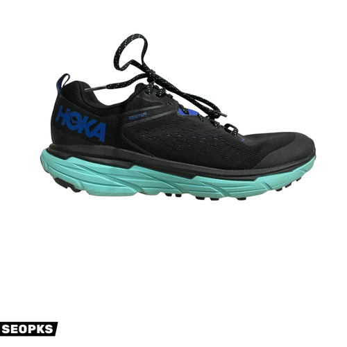 Vist Large View of Product Image Which is Used Hoka Performance Shoes 9.5
