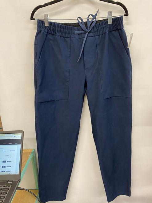 Vist Large View of Product Image Which is Used Lululemon Athletica Active Pant L 12-14/31-32
