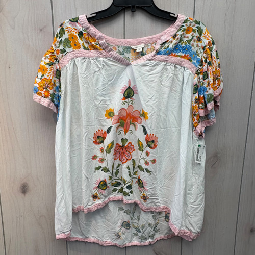 Vist Large View of Product Image Which is Used Cato Short Sleeve Top 5X-26