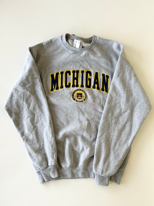 Vist Large View of Product Image Which is Used Champion Sweatshirt M-8/10