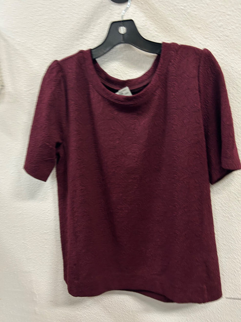 Vist Large View of Product Image Which is Used Loft Short Sleeve Top L-12/14