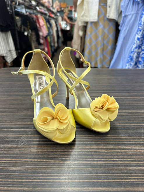 Vist Large View of Product Image Which is Used Badgley Mischka Low Heels 6.5