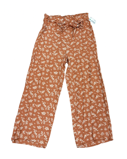 Vist Large View of Product Image Which is Gently used American Eagle casual pant
