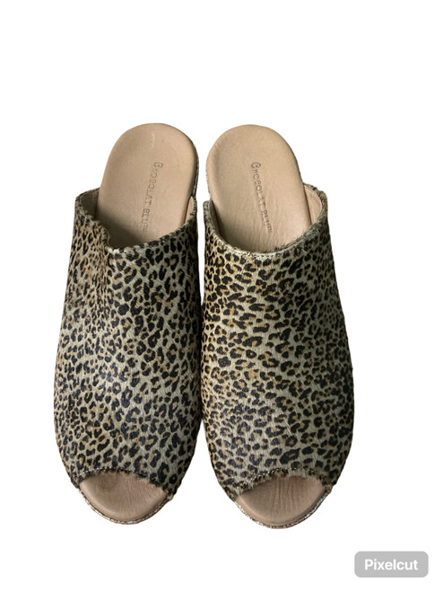 Vist Large View of Product Image Which is Used Choclat Blu Clogs 9