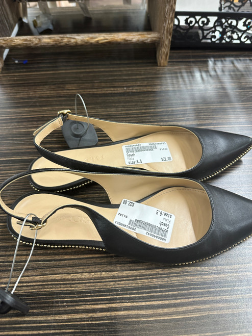 Vist Large View of Product Image Which is Used Coach Flats 6.5