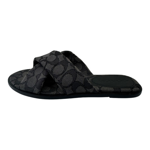 Vist Large View of Product Image Which is Used Coach Flats 7
