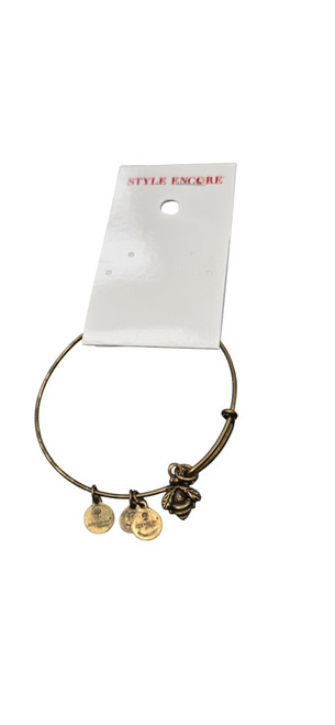 Vist Large View of Product Image Which is Used Alex And Ani Bracelet