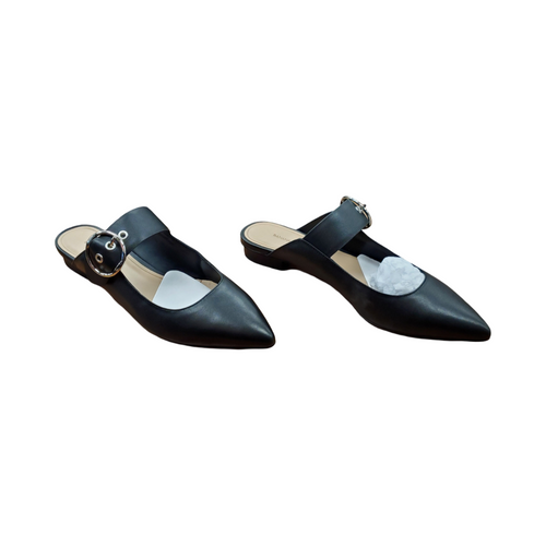Vist Large View of Product Image Which is Used Banana Republic Flats 9.5