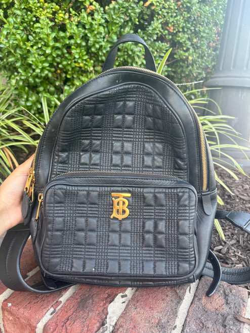 Vist Large View of Product Image Which is Used Burberry Backpack