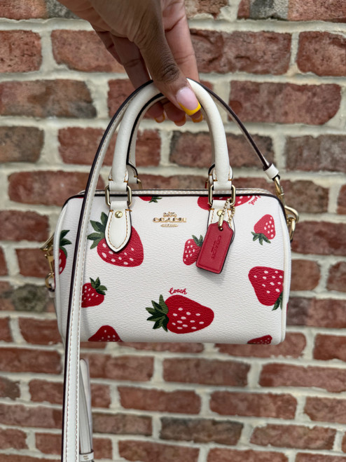 Vist Large View of Product Image Which is Used Coach Small Strawberry Handbag