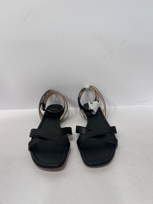 Vist Large View of Product Image Which is Used J. Crew Sandals 9