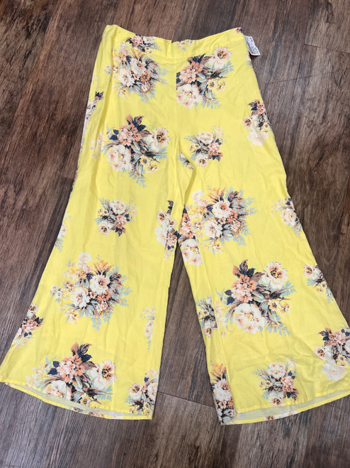 Vist Large View of Product Image Which is Used Anthropologie Casual Pant 12-31