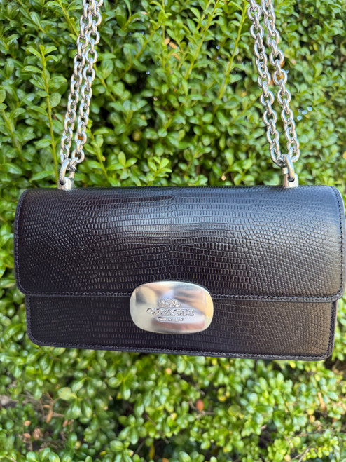 Vist Large View of Product Image Which is Used Coach Small Leather Handbag