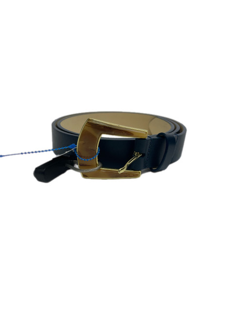 Vist Large View of Product Image Which is Used J. McLaughlin Belt L 12-14/31-32