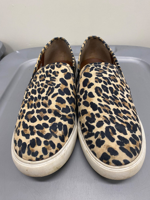 Vist Large View of Product Image Which is Used Steve Madden Casual Shoes 9