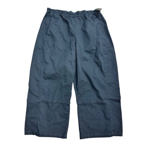 Vist Large View of Product Image Which is Used Pilcro Casual Pant XL 16/33