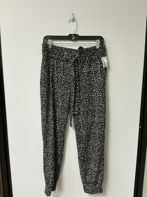 Vist Large View of Product Image Which is Used Dynamite Casual Pant 8-29