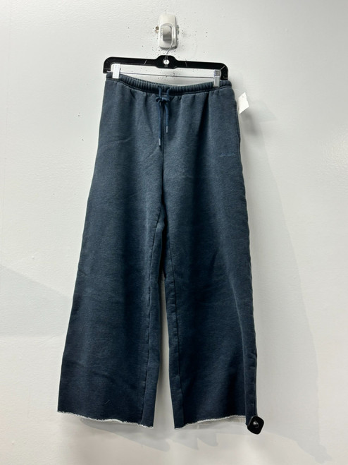 Vist Large View of Product Image Which is Used Aritzia Casual Pant 4-27