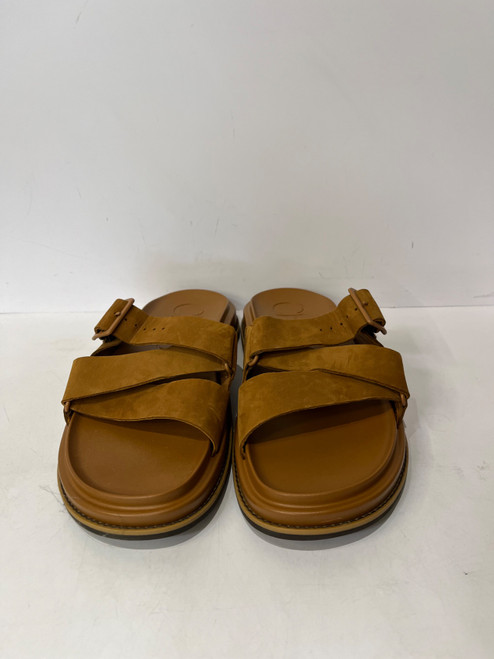 Vist Large View of Product Image Which is Used Chaco Sandals 11