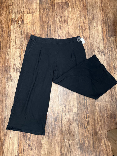 Vist Large View of Product Image Which is Used Aerie Casual Pant XXL 20/35