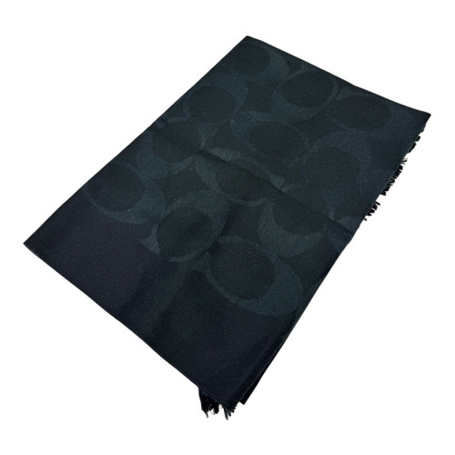 Vist Large View of Product Image Which is Used Coach Lightweight Scarf