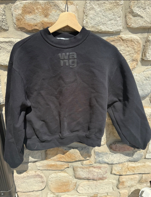 Vist Large View of Product Image Which is Used Alexander Wang Sweatshirt S-4/6