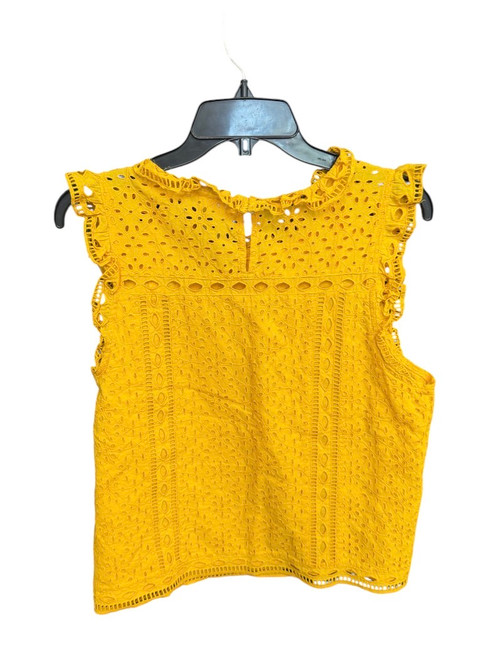 Vist Large View of Product Image Which is Used Maeve Sleeveless Top L-12/14